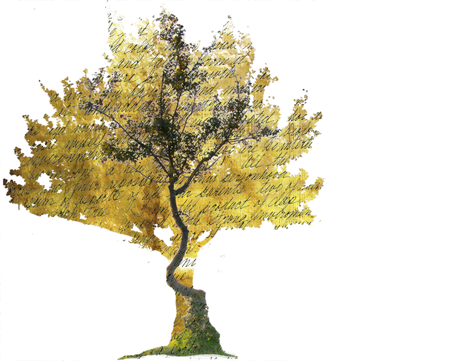 Susan McCrea – Author